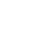 Dunlop
